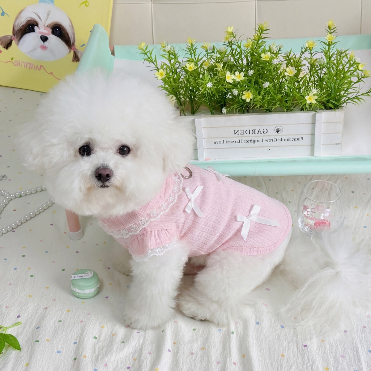 Pet Spring Lace Bow Vest Can P - Lace Teddy Lingerie recensione e prezzo