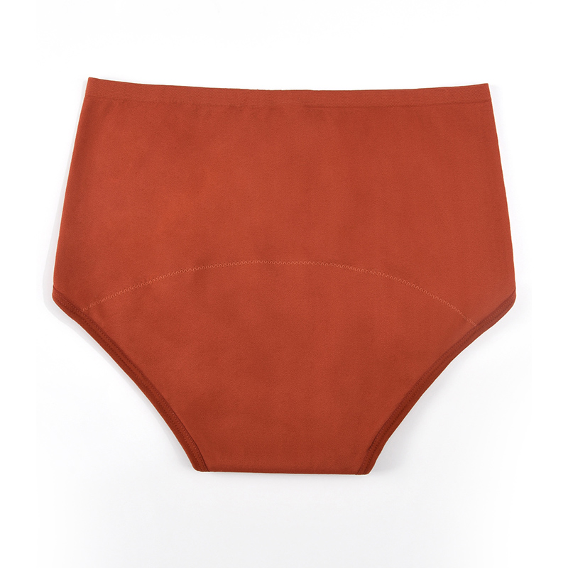 Women’s Seamless Period Pantie - Period Panty Absorbent recensione e prezzo