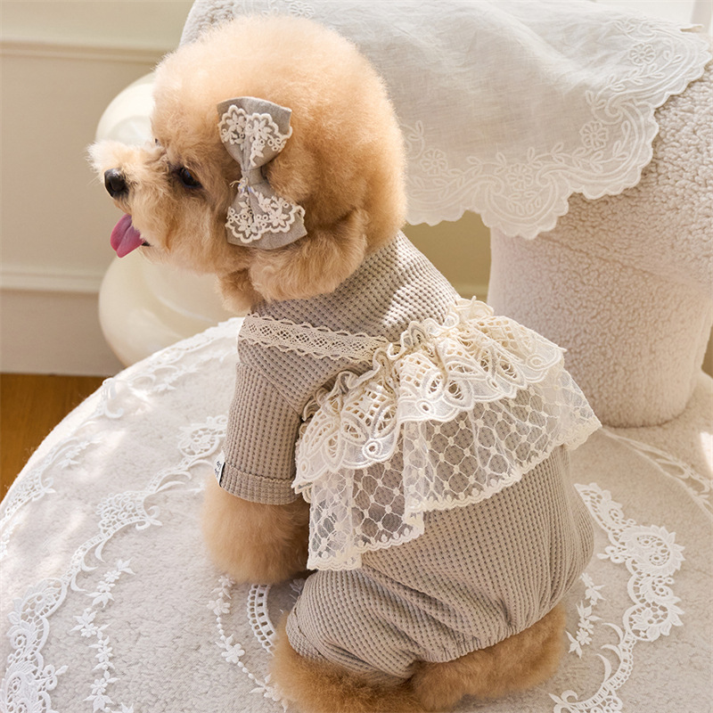 Pet Spring Jumpsuit Cute Lace  - Lace Teddy Lingerie recensione e prezzo