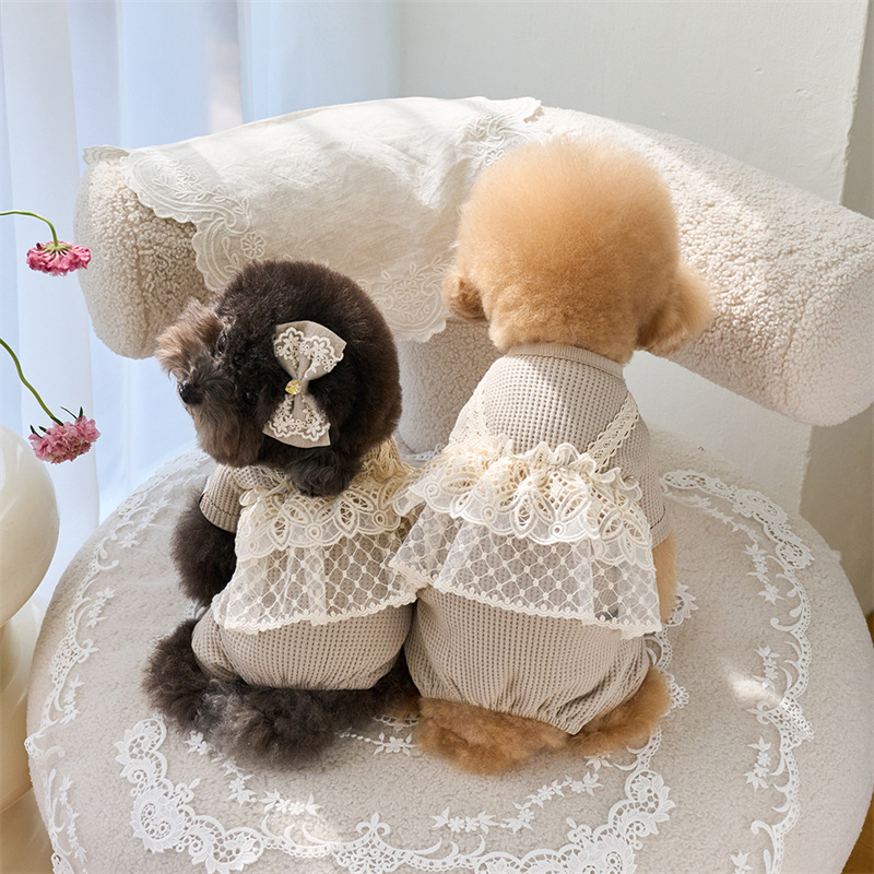 Pet Spring Jumpsuit Cute Lace  - Lace Teddy Lingerie recensione e prezzo