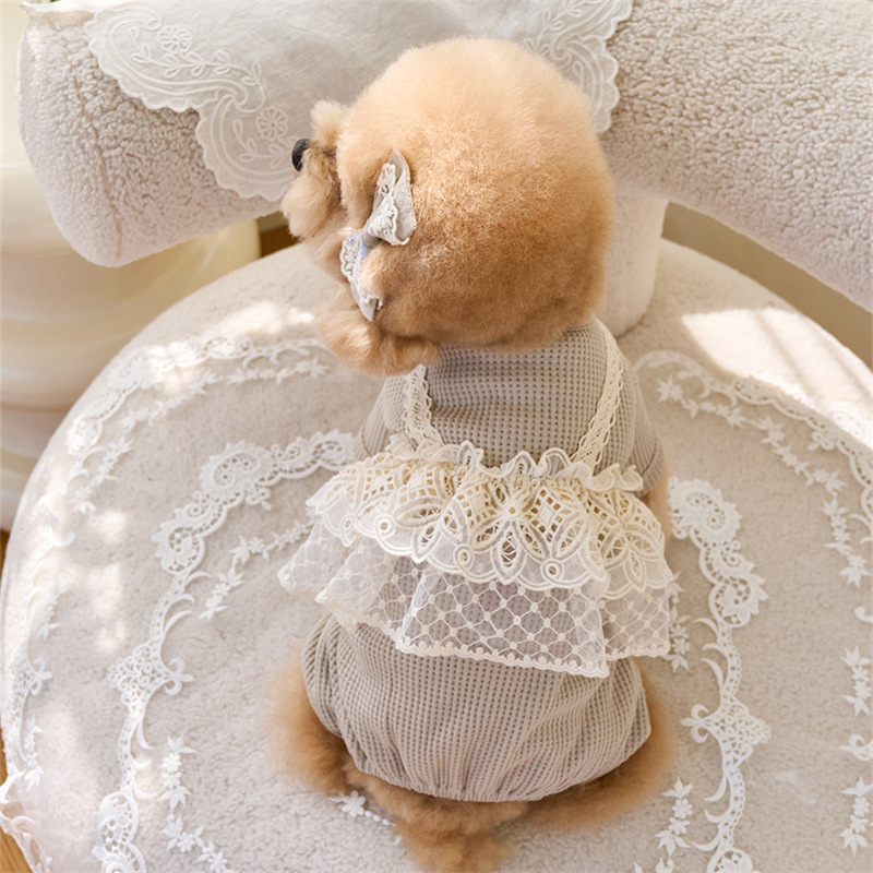 Pet Spring Jumpsuit Cute Lace  - Lace Teddy Lingerie recensione e prezzo